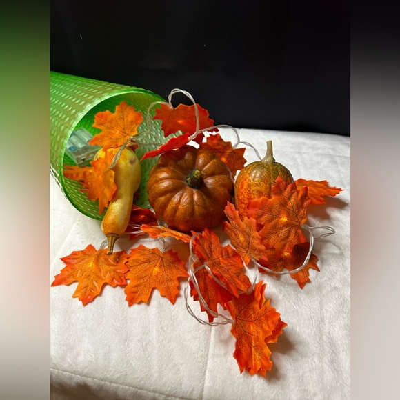 Set Of 2 Double Sided Battery Operated Maple Leaves 🍁 Lights - Picture 1 of 8